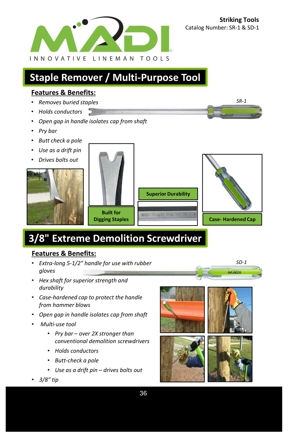 Catalog page 36