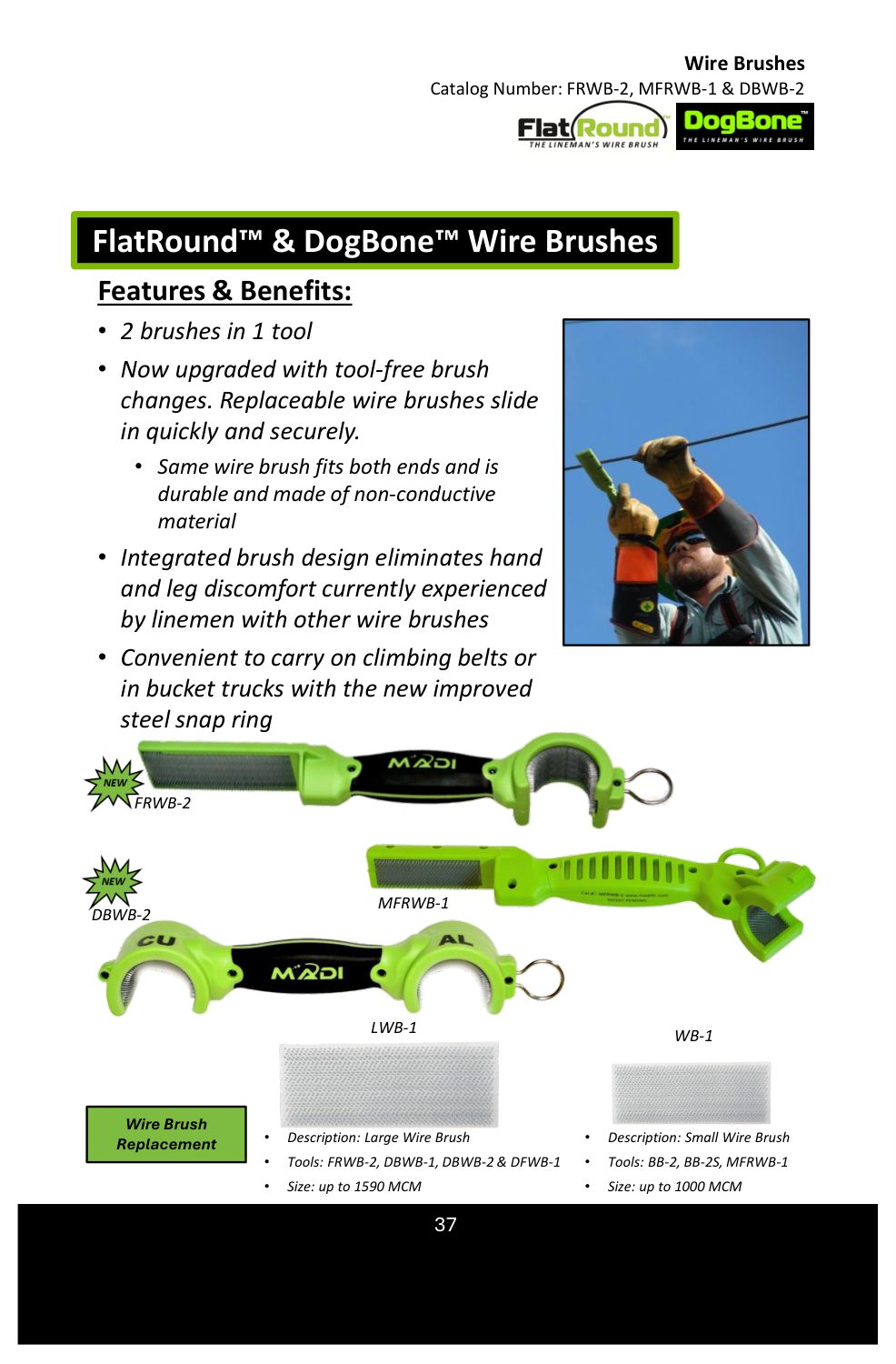 Catalog page 37